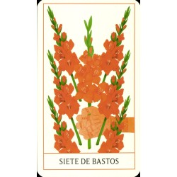 Tarot Floral (ES) - Diana McMahon Collis - Librero